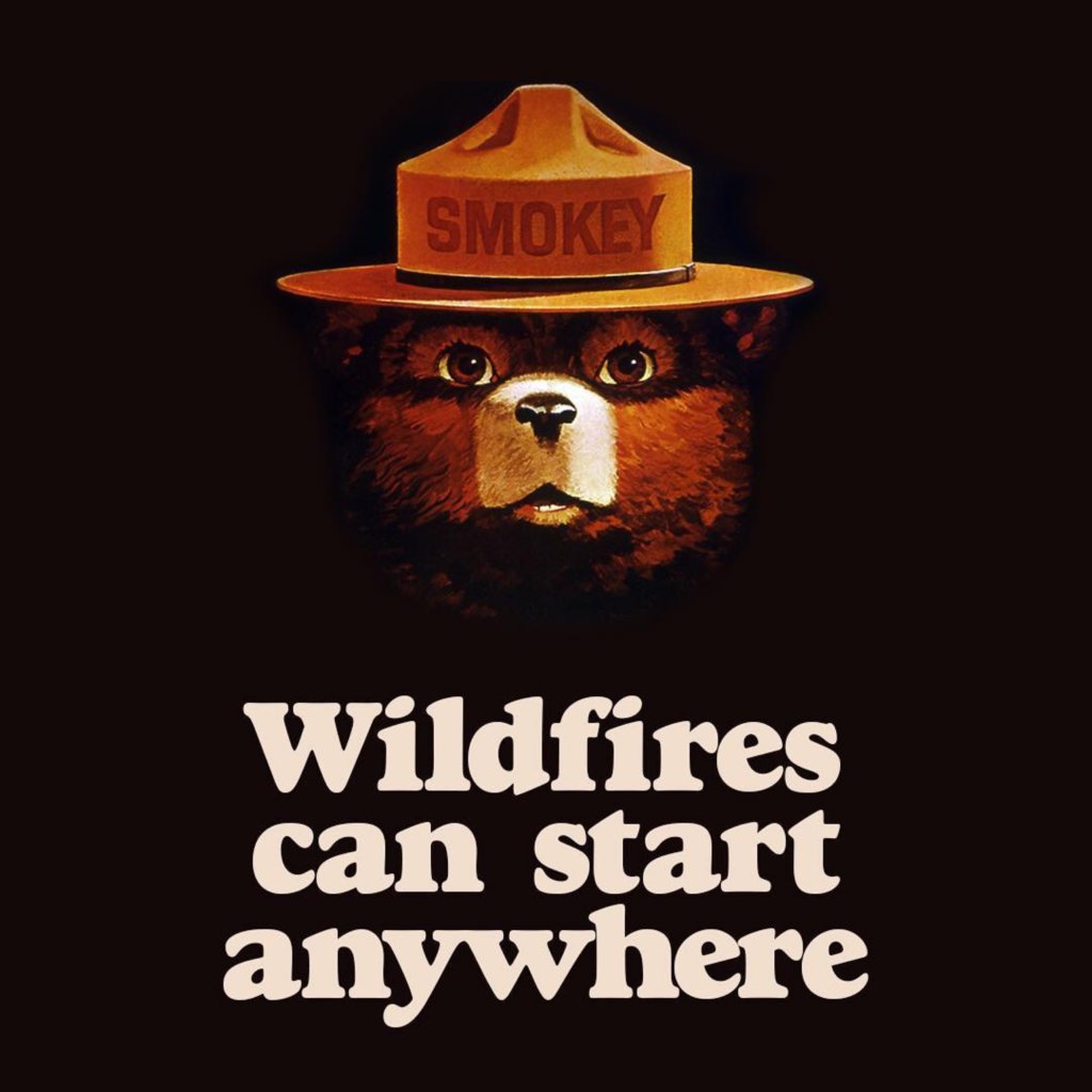 Image of smokey who says "Wildfires can start anywhere."